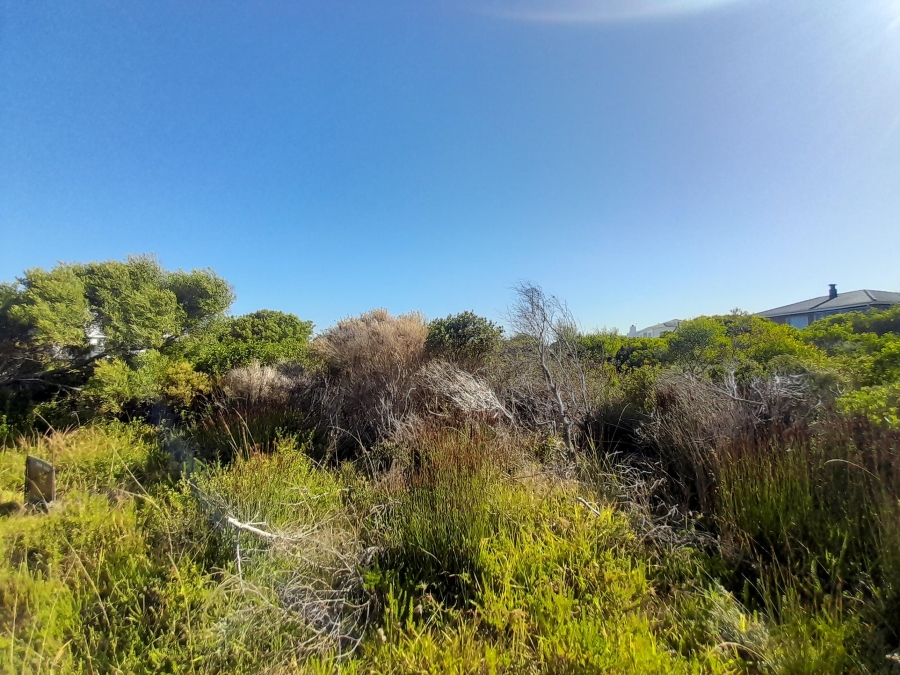 0 Bedroom Property for Sale in Bettys Bay Western Cape